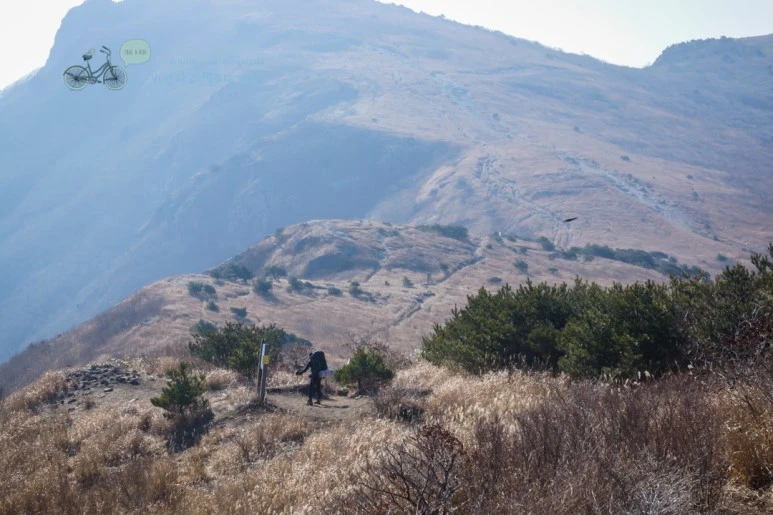 DSC04584_wide1080mark.jpg?type=w773