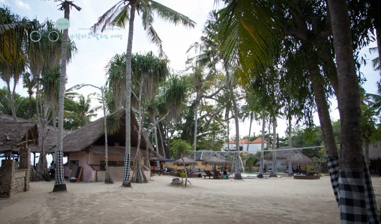 IMG_0082_Wide1080mark%EB%B0%94%EB%9E%8C%ED%83%80%EA%B3%A0-2.jpg?type=w773