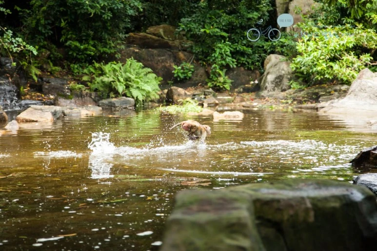 IMG_1411_wide1080%EB%B0%94%EB%9E%8Cmark.jpg?type=w773