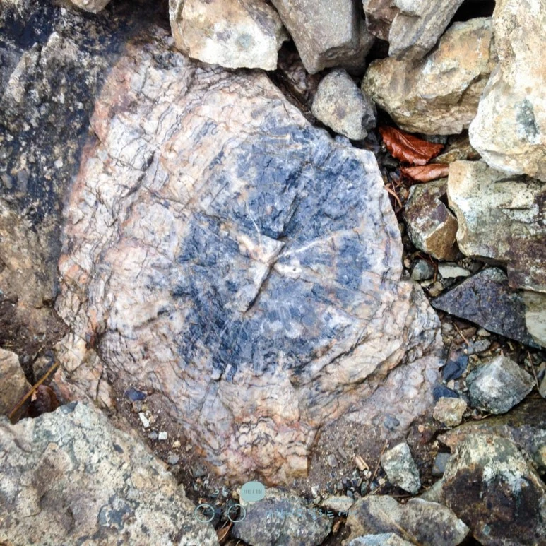 IMG_1945-_Wide1080mark.jpg?type=w773