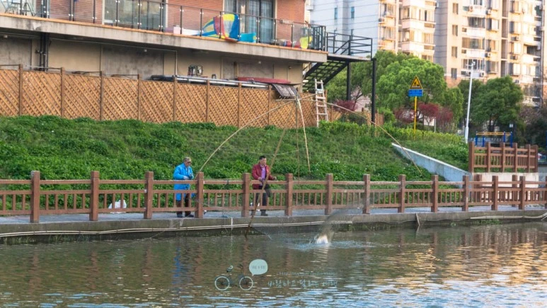 DSC04864_wide1080mark%EB%B0%94%EB%9E%8C.jpg?type=w773