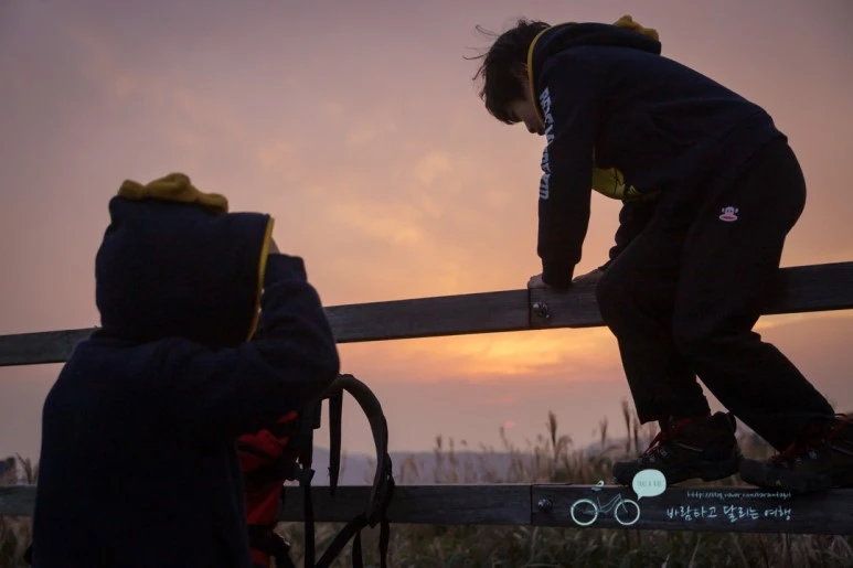 DSC04384_wide1080mark.jpg?type=w773