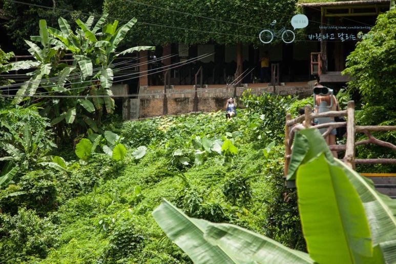 IMG_0279_wide1080%EB%B0%94%EB%9E%8Cmark.jpg?type=w773