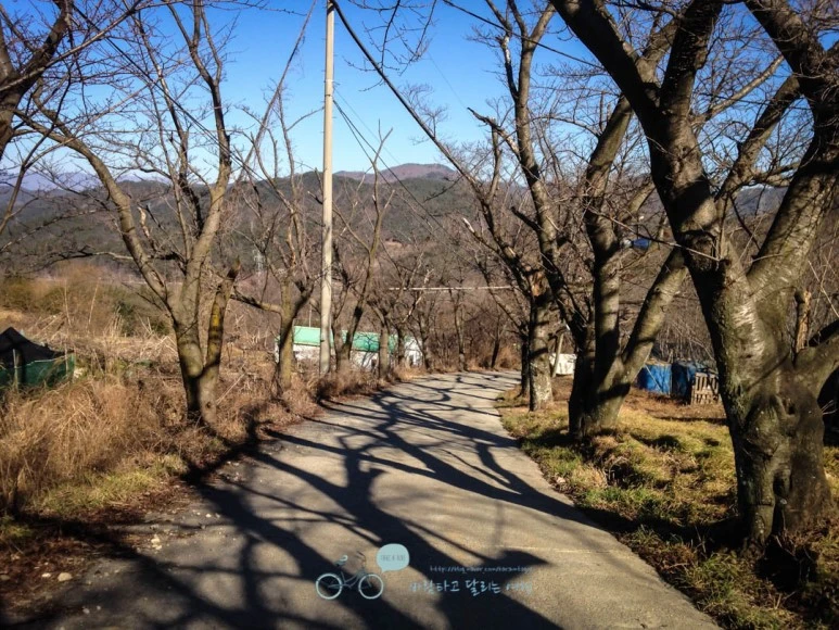 IMG_1415-_Wide1080mark%EB%B0%94%EB%9E%8C.jpg?type=w773