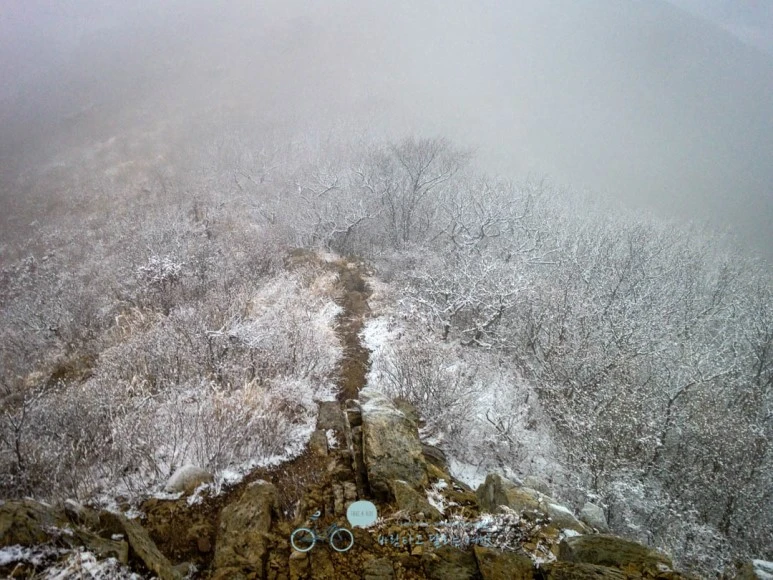 IMG_1961-_Wide1080mark.jpg?type=w773