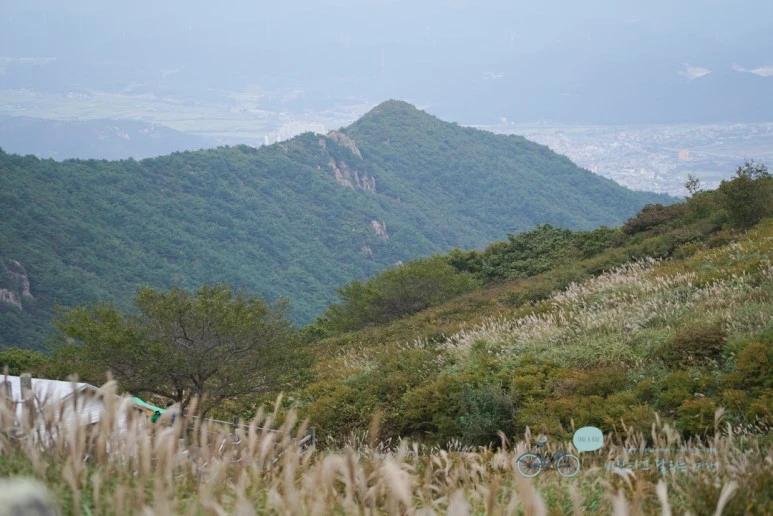 DSC00023_Wide1080mark.jpg?type=w773