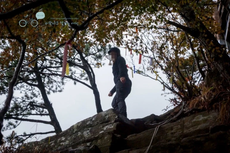 image_2392556551480222822356.jpg?type=w773