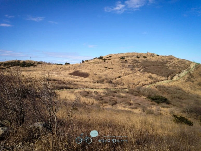 IMG_1543-_Wide1080mark.jpg?type=w773