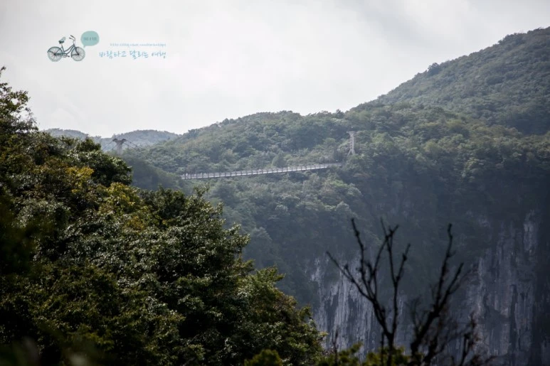 IMG_0169_Wide1080mark%EB%B0%94%EB%9E%8C.jpg?type=w773