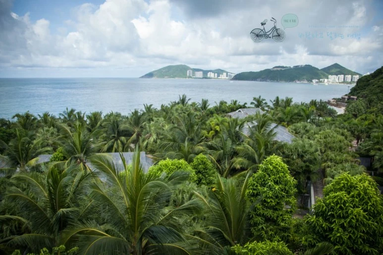 IMG_0035_wide1080%EB%B0%94%EB%9E%8Cmark.jpg?type=w773