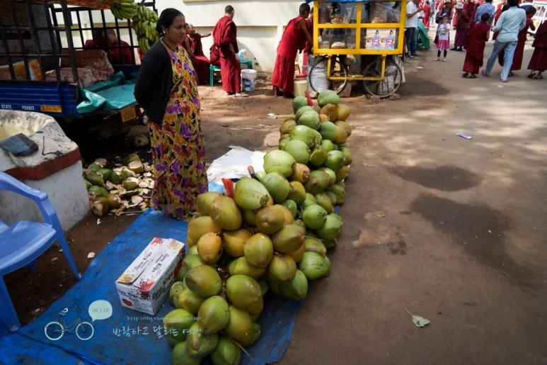 DSC00347.jpg?type=w773