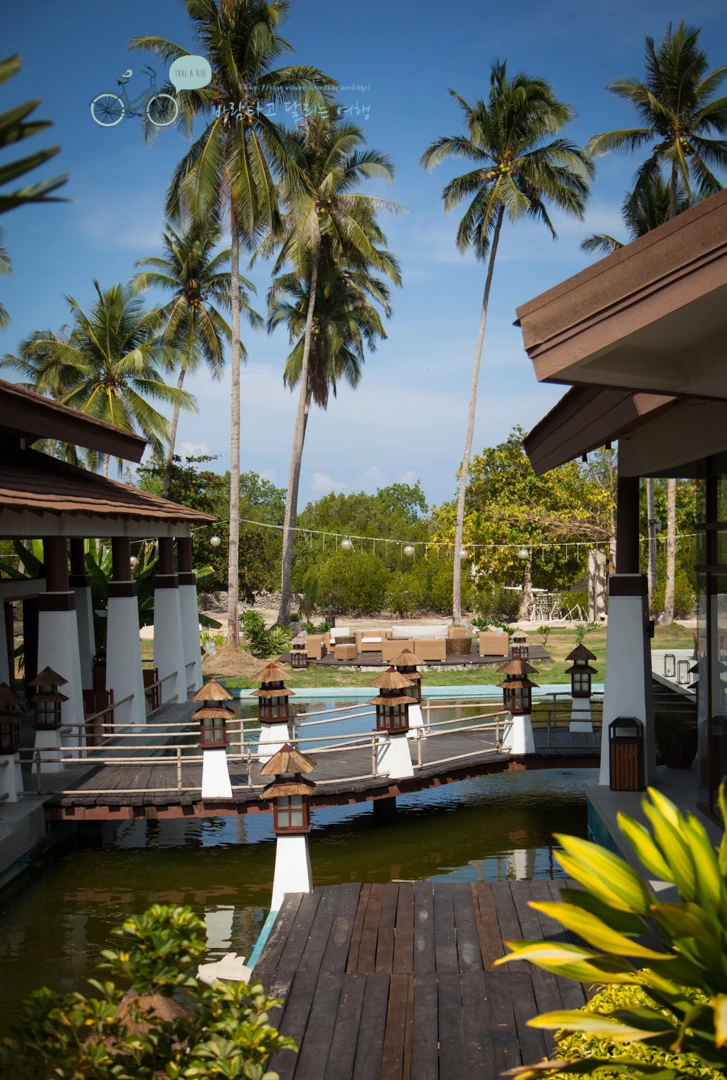 IMG_1059_Wide1080mark%EB%B0%94%EB%9E%8C%ED%83%80%EA%B3%A0.jpg?type=w773