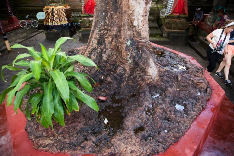 IMG_0309_Wide1080mark%EB%B0%94%EB%9E%8C%ED%83%80%EA%B3%A0-3.jpg?type=w773