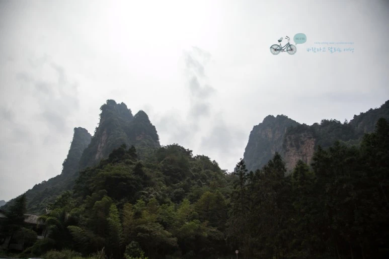 IMG_1311_Wide1080mark%EB%B0%94%EB%9E%8C.jpg?type=w773