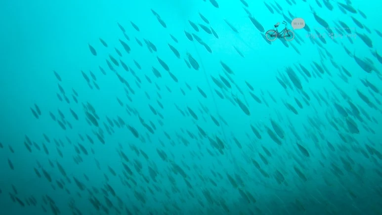 20_Wide1080mark%EB%B0%94%EB%9E%8C%ED%83%80%EA%B3%A0.jpg?type=w773