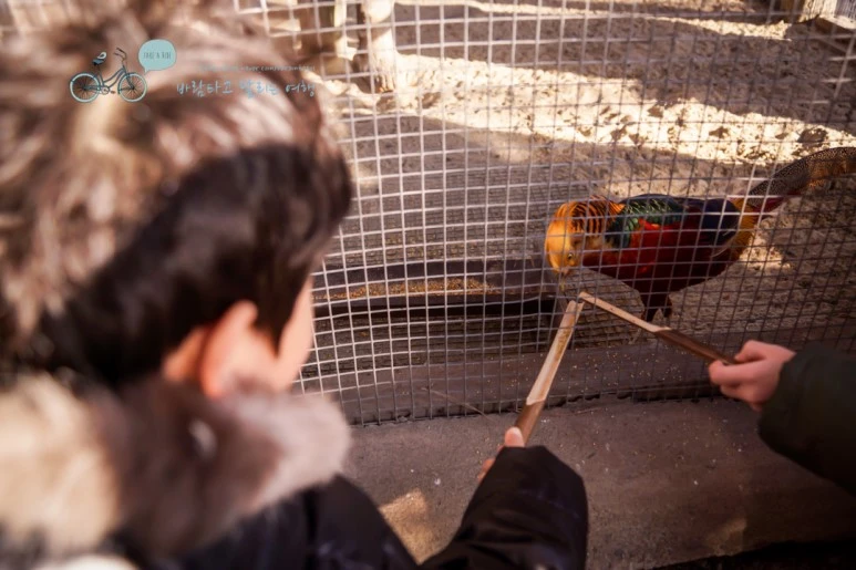 DSC00004_3.jpg?type=w773