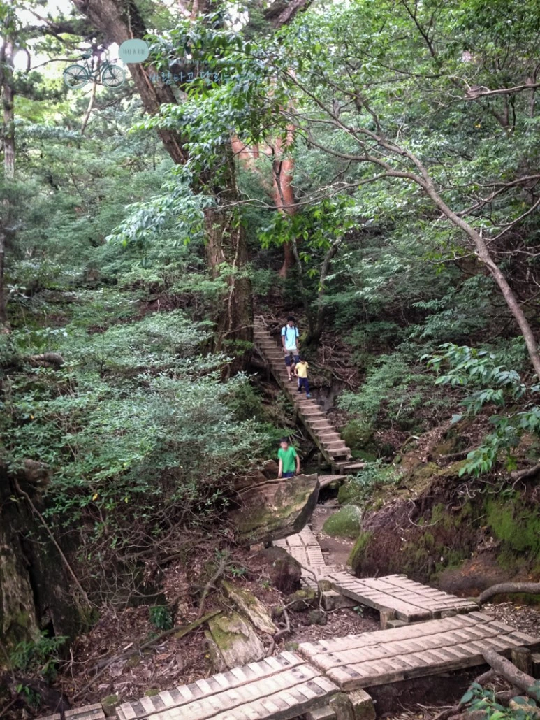 IMG_7991_wide1080mark.jpg?type=w773