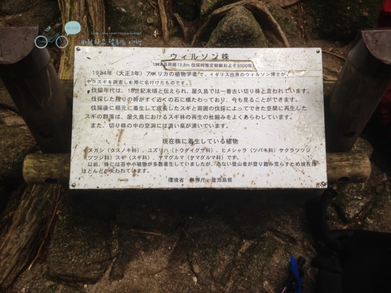 IMG_1342_wide1080.jpg?type=w773