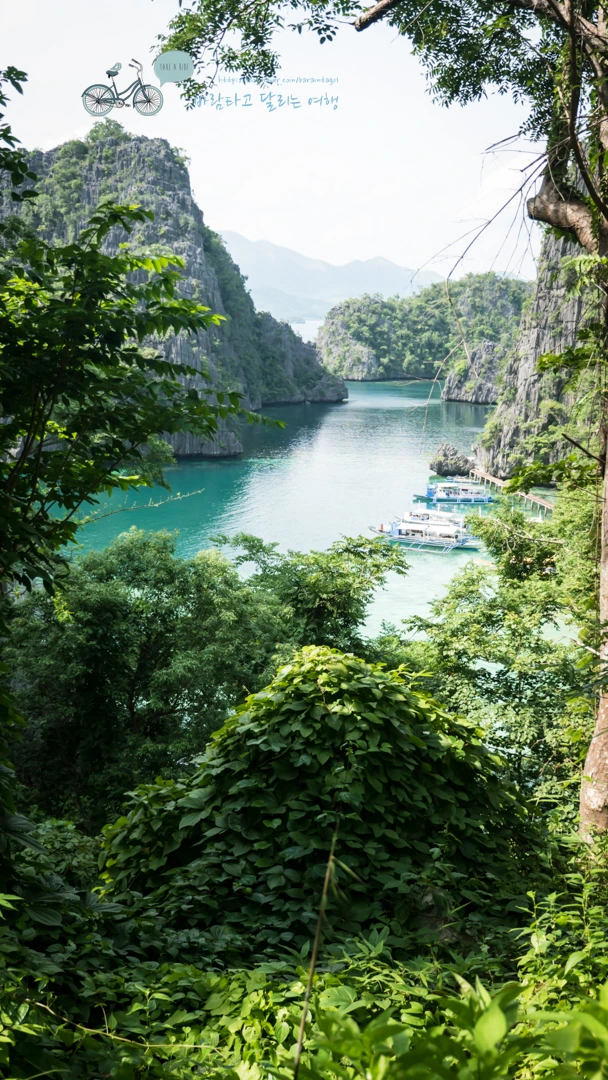 _1020028_Wide1080mark%EB%B0%94%EB%9E%8C%ED%83%80%EA%B3%A0.jpg?type=w773