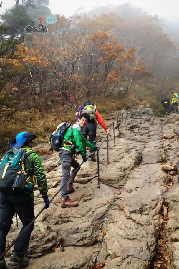 image_4889150491479950934553.jpg?type=w773