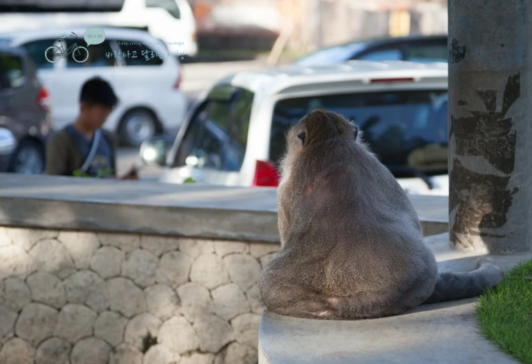 IMG_0545_Wide1080mark%EB%B0%94%EB%9E%8C%ED%83%80%EA%B3%A0-2.jpg?type=w773