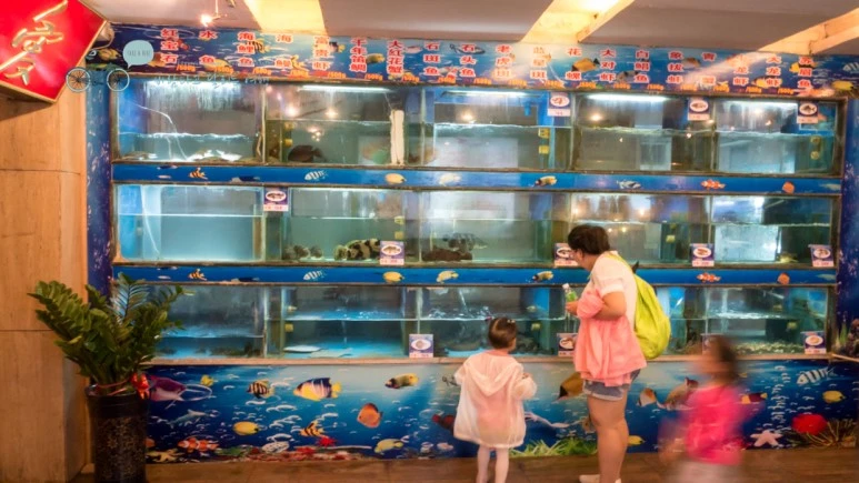 _1050701_wide1080mark.jpg?type=w773