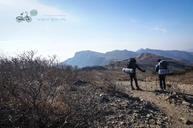 DSC04563_wide1080mark.jpg?type=w773