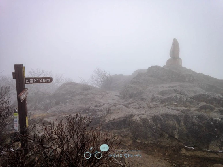 IMG_1904-_Wide1080mark.jpg?type=w773