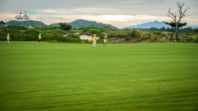 _1010842_wide1080_Wide1080mark_%EB%B0%94%EB%9E%8C.jpg?type=w773