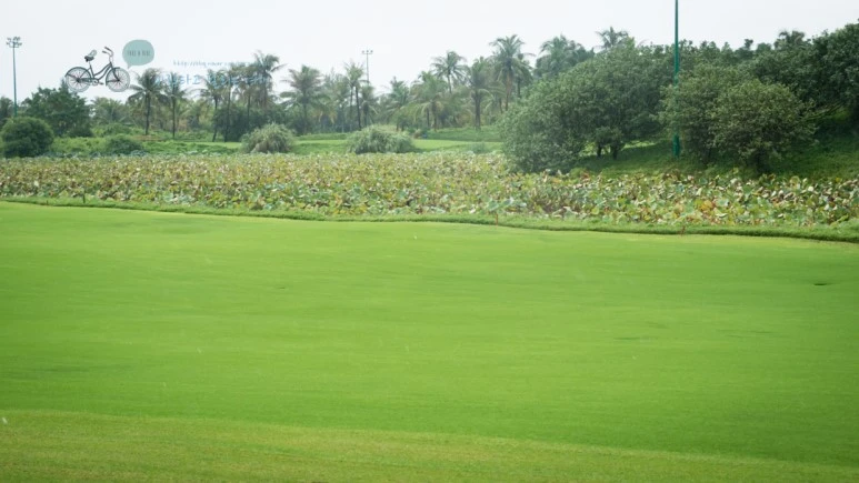 _1000504_wide1080_Wide1080mark_%EB%B0%94%EB%9E%8C.jpg?type=w773