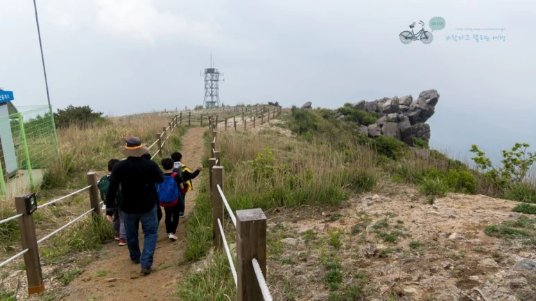 DSC05629_Wide1080mark%EB%B0%94%EB%9E%8C.jpg?type=w773