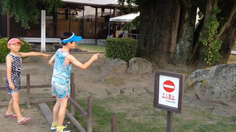 image_5453379651486026953898.jpg?type=w773