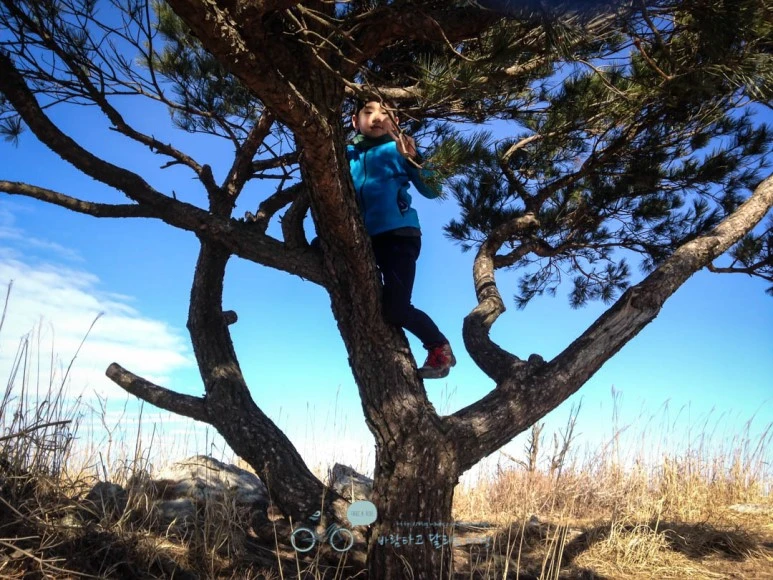 IMG_1548-_Wide1080mark.jpg?type=w773