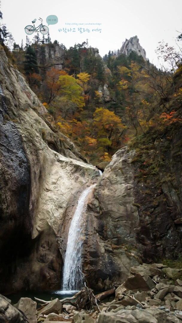 KakaoTalk_Photo_2014-10-13-13-49-13_20_wide1080mark.jpg?type=w773