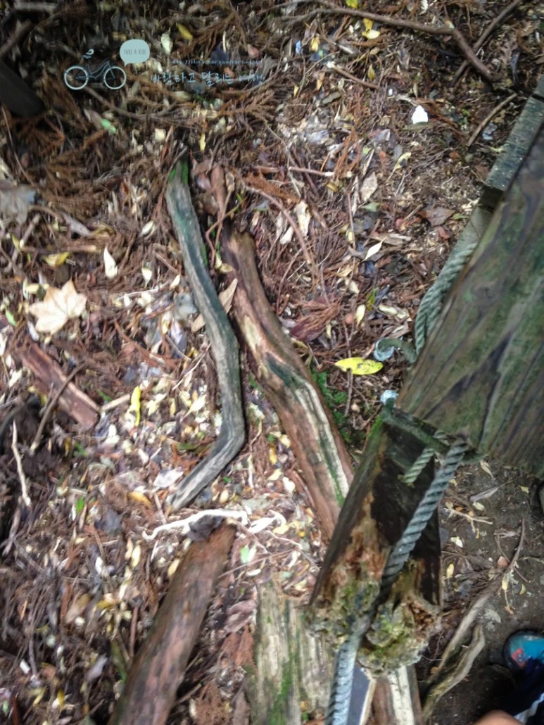 IMG_1444_wide1080.jpg?type=w773