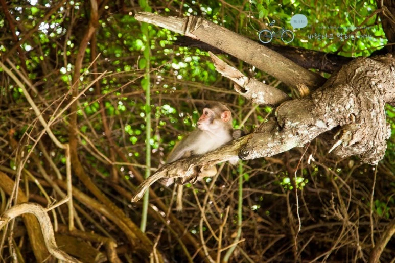 IMG_1338_wide1080%EB%B0%94%EB%9E%8Cmark.jpg?type=w773