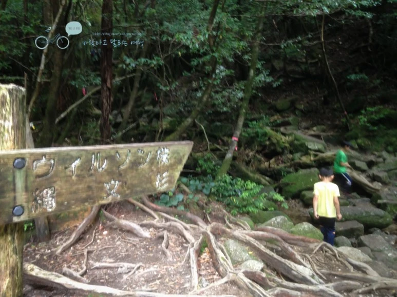 IMG_1333_wide1080.jpg?type=w773