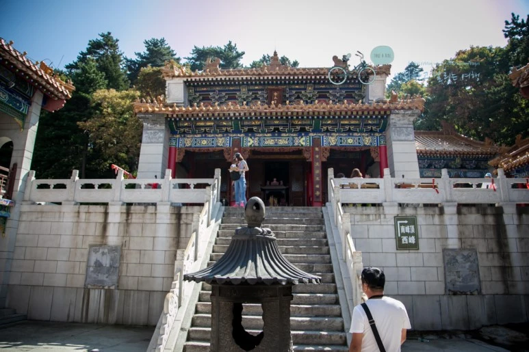 IMG_0222_Wide1080_mark%EB%B0%94%EB%9E%8C.jpg?type=w773