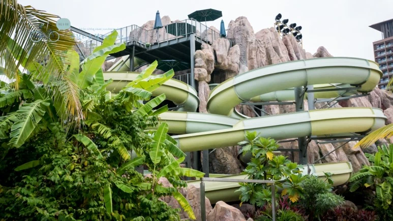 _1050232_wide1080mark.jpg?type=w773