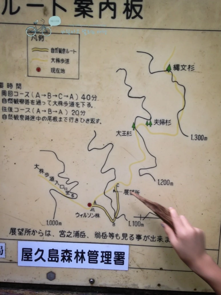 IMG_1355_wide1080.jpg?type=w773