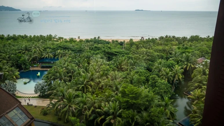 _1000121_wide1080_Wide1080mark_%EB%B0%94%EB%9E%8C.jpg?type=w773