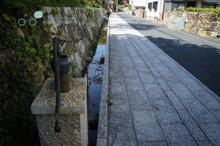 DSC07931_wide1080mark.jpg?type=w773