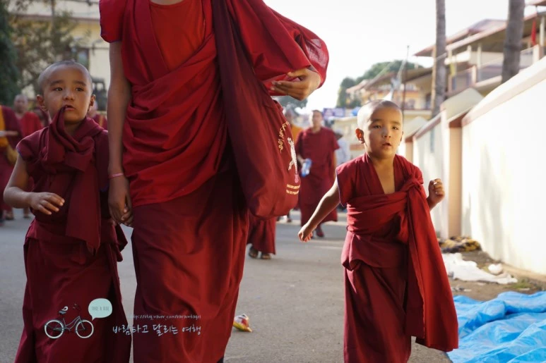 DSC00074.jpg?type=w773