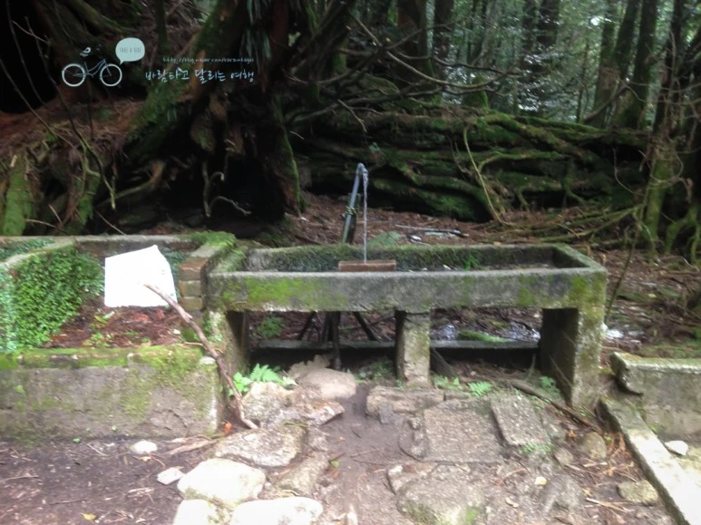 IMG_1285_wide1080.jpg?type=w773