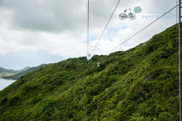 IMG_1235_wide1080%EB%B0%94%EB%9E%8Cmark.jpg?type=w773