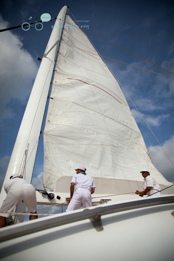 IMG_0041_Wide1080mark%EB%B0%94%EB%9E%8C%ED%83%80%EA%B3%A0.jpg?type=w773