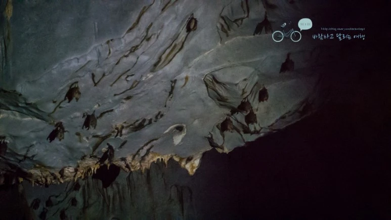 _1020867_Wide1080mark.jpg?type=w773