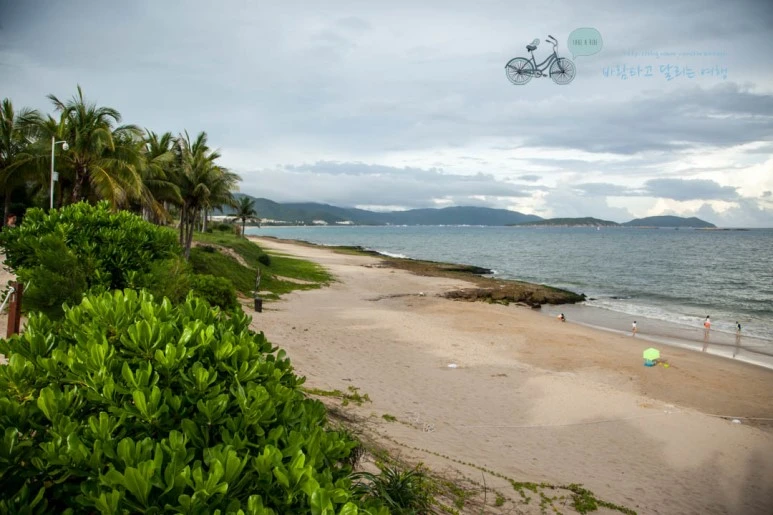 IMG_1770_wide1080%EB%B0%94%EB%9E%8Cmark.jpg?type=w773