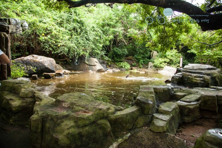 IMG_1412_wide1080%EB%B0%94%EB%9E%8Cmark.jpg?type=w773