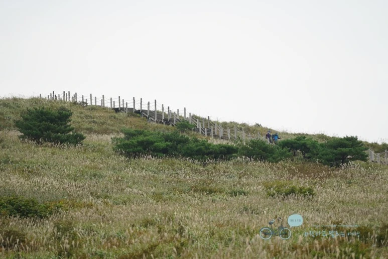 DSC00019_Wide1080mark.jpg?type=w773